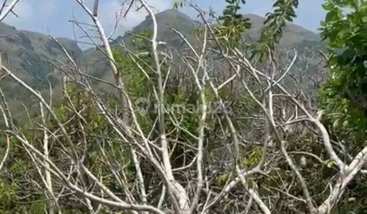 Dijual Tanah View Pantai Nusa Penida Luas 217 Are 2
