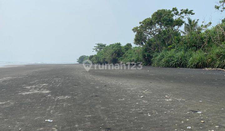 Dijual Tanah Los Pantai Medewi Jembrana Bali Luas 166 Are 1