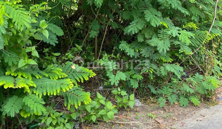 Land for Lease 2400 m2 Sawangan Nusa Dua Badung