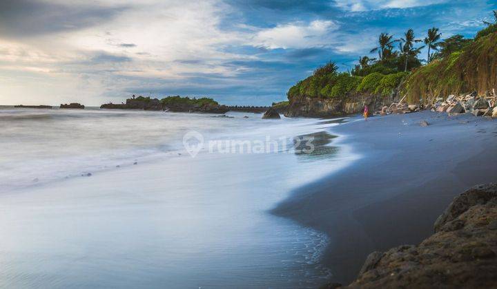 Dijual Tanah Los Pantai Cemagi Luas 95 Are 1