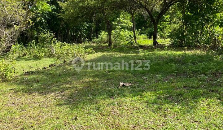 Land For Lease Gunung Payung Kutuh Ocean View 500 m2 Land For Lease Gunung Payung Kutuh Ocean View 500 m2