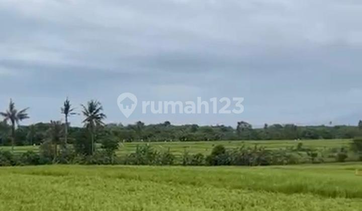 Cemagi Near Beach Land Lease 6900 M2 Badung Bali