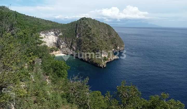Dijual Tanah Los Tebing Nusa Penida Kelungkung Luas 30000 m2 2