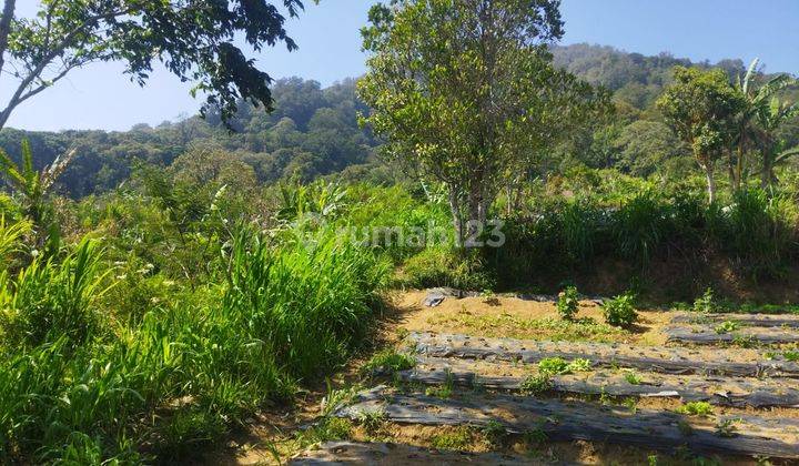 Dijual Tanah View Lembah Di Pancasari Buleleng Luas 1.000 Are 2