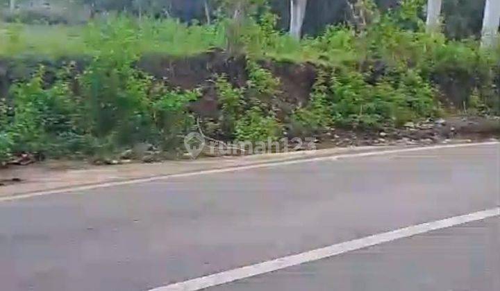 Tanah Pecatu Pinggir Jalan Disewakan Luas 2500 m2  2