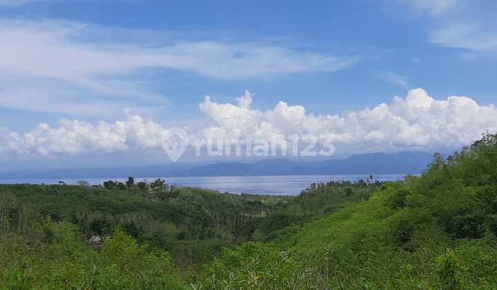 Dijual Tanah View Pantai Nusa Penida Luas 16.000 m2  1