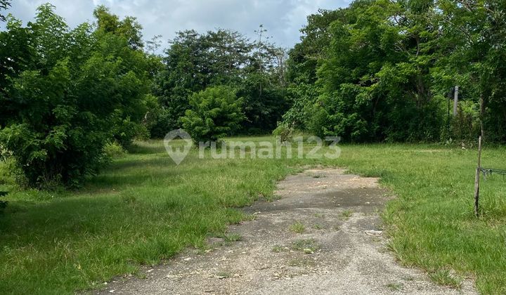 Land For Lease Ocean View Pecatu Badung Bali 3650 m2