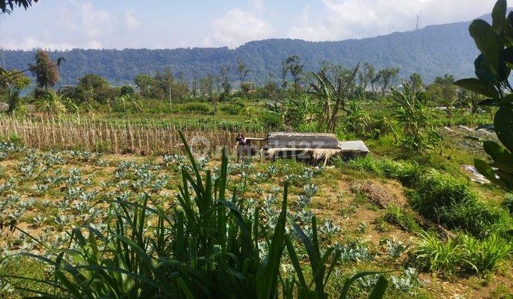 Dijual Tanah View Lembah Di Pancasari Buleleng Luas 1.000 Are 2