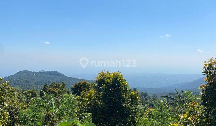 Dijual Tanah Munduk Buleleng Luas 140 Are View Danau 1