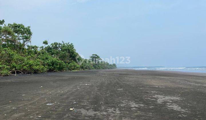 Dijual Tanah Los Pantai Medewi Jembrana Bali Luas 166 Are 2