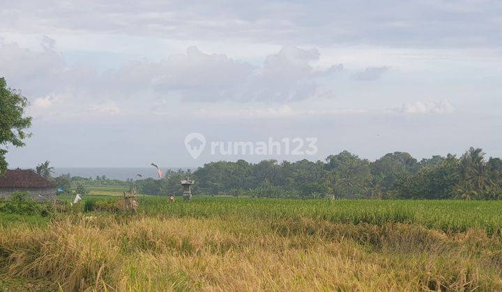 Dijual Tanah Dekat Pantai Kelecung Tabanan Luas 16 Are 2