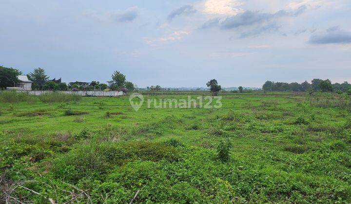 Tanah Strategis Harga Murah Di Haurgeulis Indramayu 1