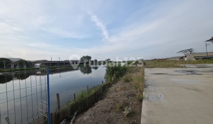 For Sale: 8 Hectares of Land on Pantura Road, Kendal, Central Java