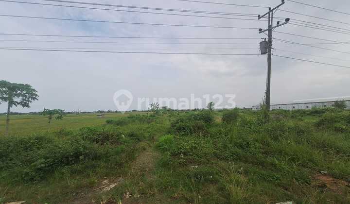 Dijual Tanah SHM di Dalam Zona Industri Lawangrejo, Pemalang