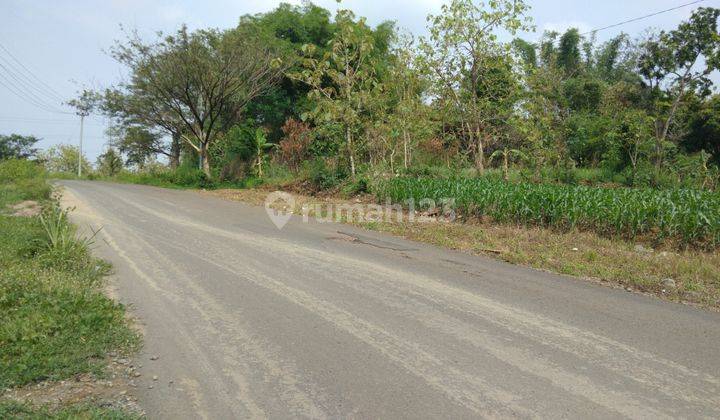 Dijual Tanah Sawah di Lingkar Baribis Cigasong Majalengka 2