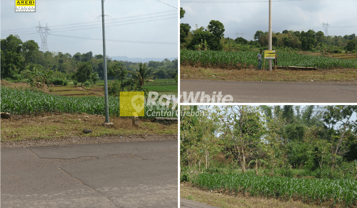 Dijual Tanah Sawah di Lingkar Baribis Cigasong Majalengka 1