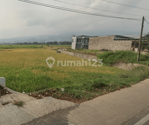 Dijual Tanah Cocok Untuk Komersial Lokasi Talaga Majalengka Jalan Raya Cikijing Ciamis 2