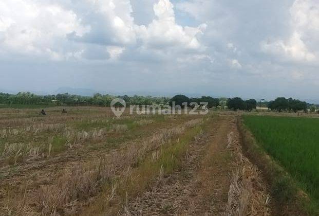 Jual Tanah di Kertasari, Kertajati, Majalengka SHM 10.713 m² 2