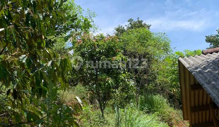 Cheap Land for Sale in Rancamulya, North Sumedang Cheap Land for Sale in Rancamulya, North Sumedang