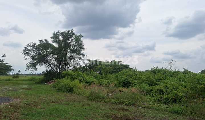 Jual Tanah SHM di Kawasan Industri Kramat, Tegal