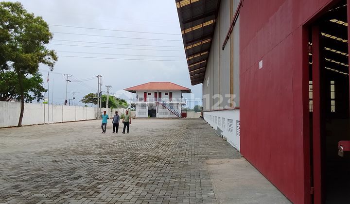 For Sale Ex Good Factory Ready to Use on Mainroad Subang, West Java For Sale Ex Good Factory Ready to Use on Mainroad Subang, West Java