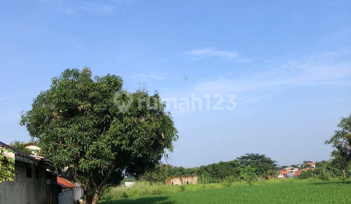 Jual Tanah SHM Lokasi Strategis di Tengah Kota Majalengka Jual Tanah SHM Lokasi Strategis di Tengah Kota Majalengka