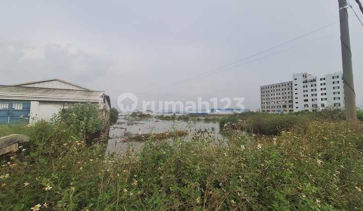 Dijual Tanah di Jl. Pelabuhan Kendal, Wonorejo, Kendal