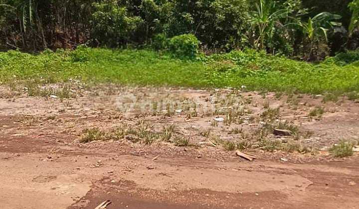 Land for Sale in Kedungdawa Village, Kedawung, Cirebon Land for Sale in Kedungdawa Village, Kedawung, Cirebon