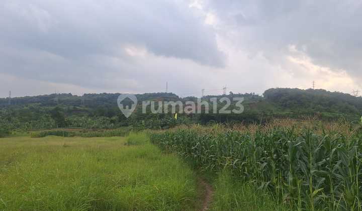 Dijual Tanah Seluas 26 Hektar di Zona Industri Batang, Jawa Tengah Dijual Tanah Seluas 26 Hektar di Zona Industri Batang, Jawa Tengah