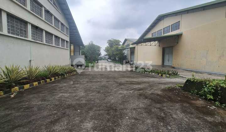 Factory for Rent in Lebaksiu Lor, Tegal Factory for Rent in Lebaksiu Lor, Tegal