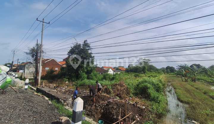 Disewakan Gudang Siap Bangun di Maribaya, Tegal Disewakan Gudang Siap Bangun di Maribaya, Tegal