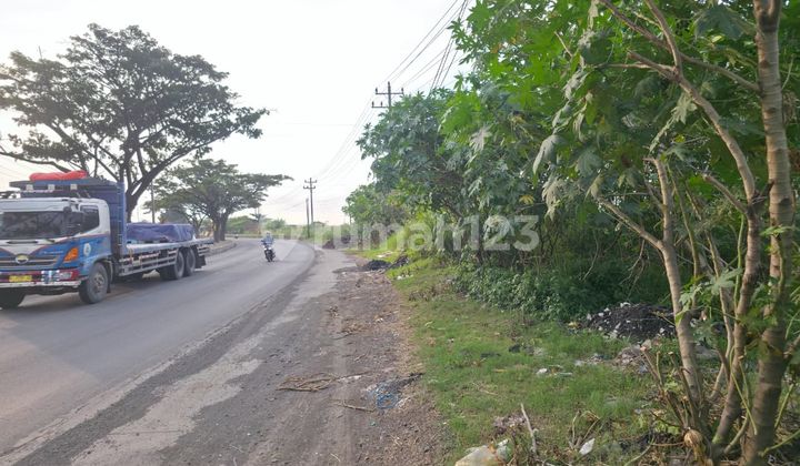 Land for Sale on Pantura Nolokerto Road, Kendal