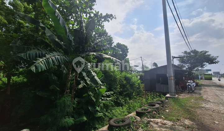 Jual Tanah Zona Kuning di Petarukan, Pemalang