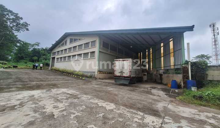 Factory for Rent in Lebaksiu Lor, Tegal Factory for Rent in Lebaksiu Lor, Tegal