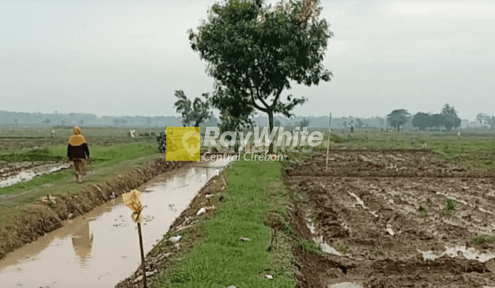 Dijual Tanah di Pakubeureum, Kertajati, Majalengka 1