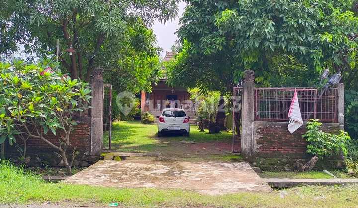 Jual Rumah Klasik dengan Halaman Luas di Tegalsri, Cirebon 2