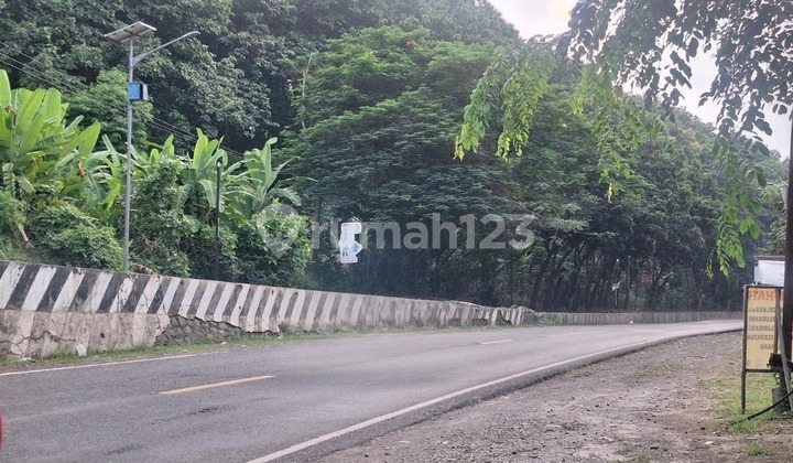 Jual Tanah 8 Ha di Zona Industri Sentul-Gringsing, Batang Jual Tanah 8 Ha di Zona Industri Sentul-Gringsing, Batang
