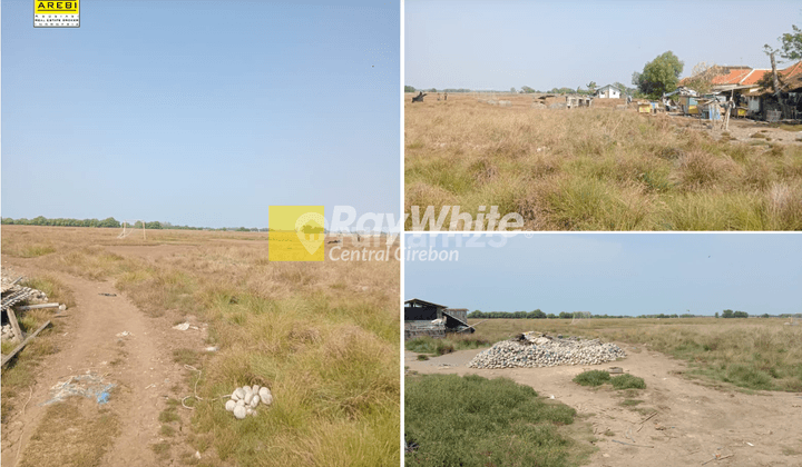 Tanah di Pabean Udik, Indramayu SHM 23.000 m² 1