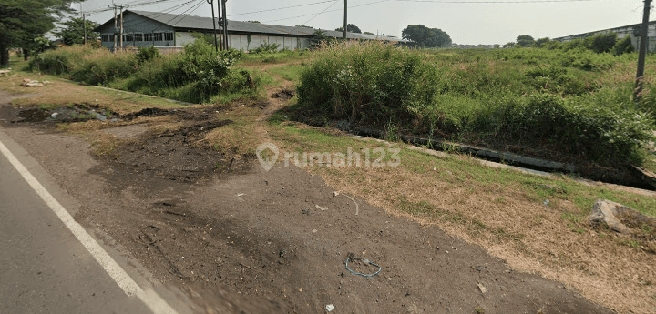 Tanah di Rawaurip, Cirebon SHM 44.000 m² 2