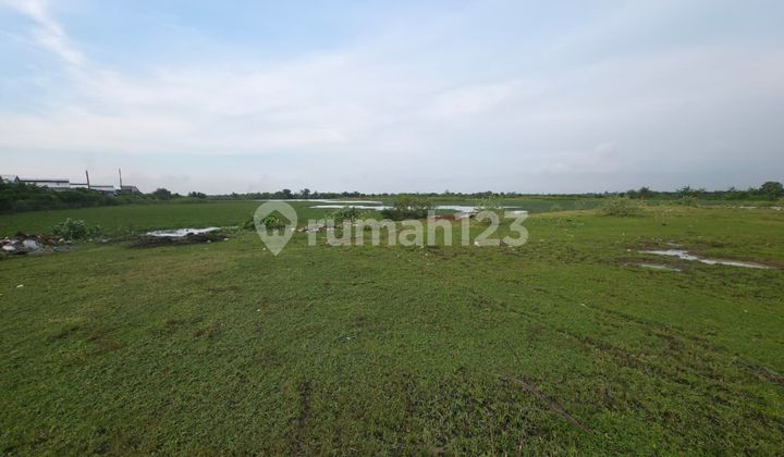Land for Sale in Sumberejo, Kaliwungu, Kendal
