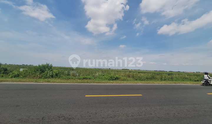 Dijual Tanah di Zona Industri Limbangan Kulon, Brebes Dijual Tanah di Zona Industri Limbangan Kulon, Brebes