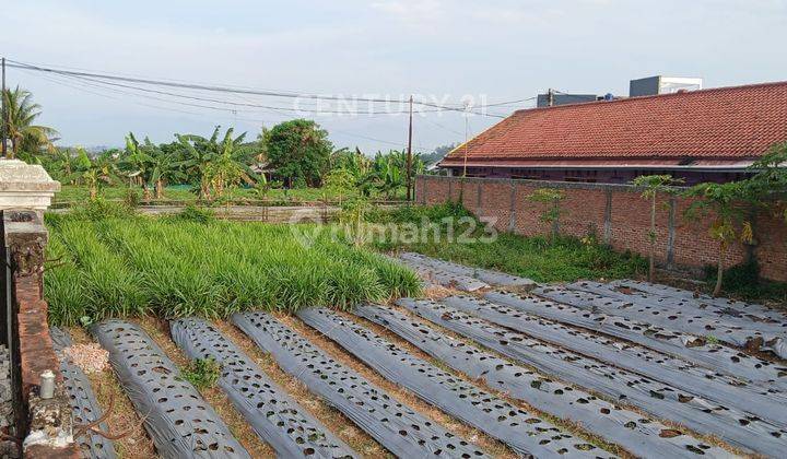 Tanah Strategis Di Jl Raya Dramaga Sinar Sari Bogor 2