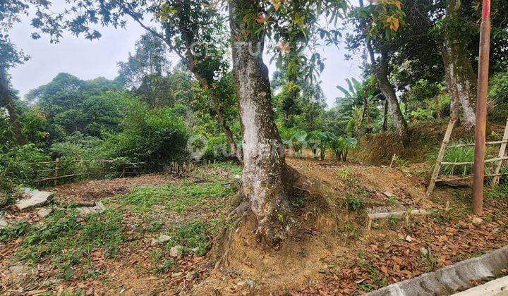 Tanah View Gunung Salak Di Jl Manggis Tajur Halang Bogor 1