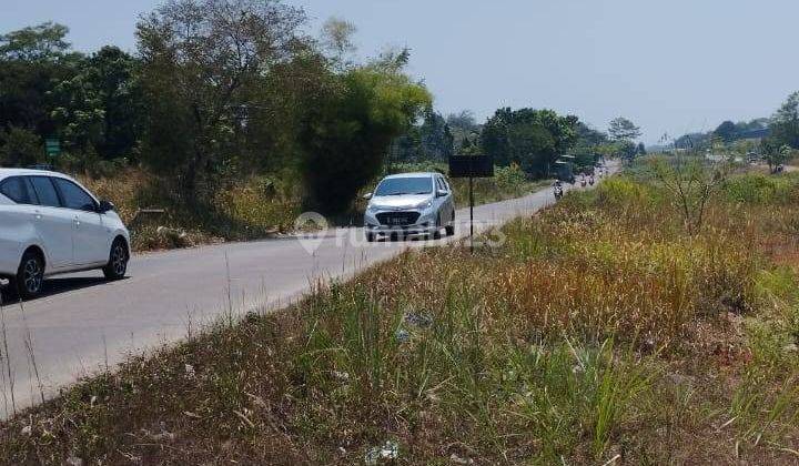 Tanah Di Pinggir Jalan Raya Bojonggede-Kemang(Bomang) TajurHalang 2