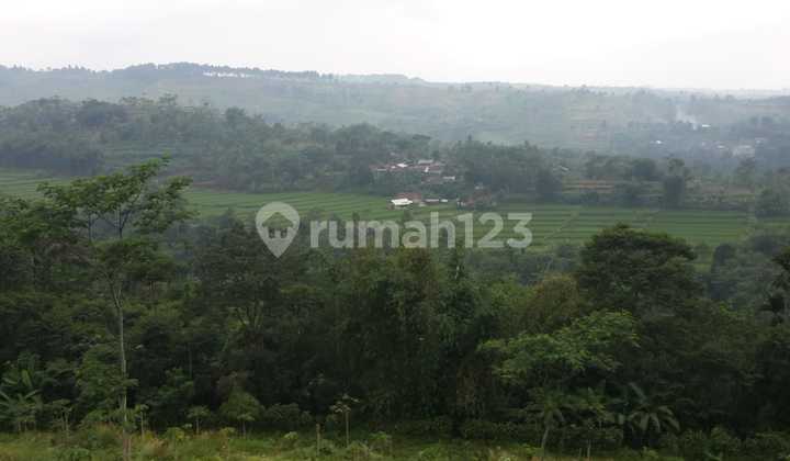 Vacant Land with a Spring in Kp. Bepak, Tangkil Village, Caringin District, Bogor Regency