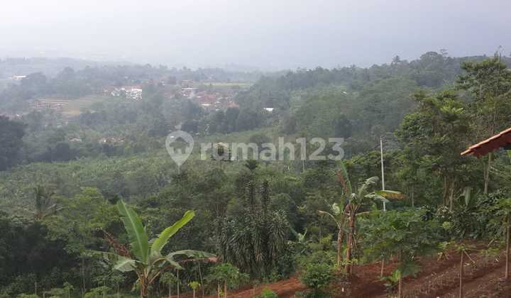Tanah Kosong Ada Mata Air Di Kp. Bepak Desa Tangkil Caringin Kabupaten Bogor