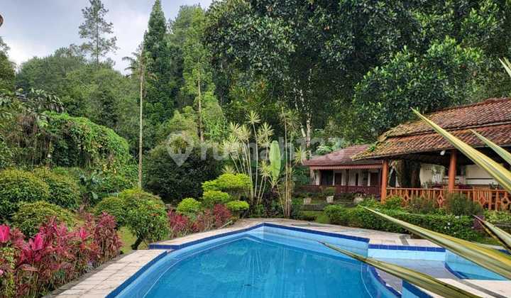 Dijual Villa Harga NJOP di Cisarua Puncak Bogor Villa Mewah Terawat Full Furnished