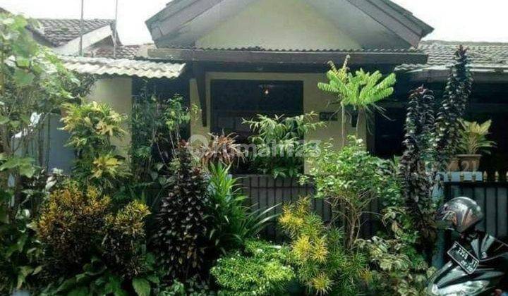 Rumah Siap Huni Di Ciomas Permai Bogor Dekat Terminal Laladon 1