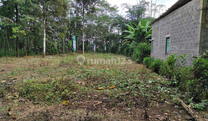 Tanah dijual luas 66 meter dekat sirkuit mijen, Shm 2