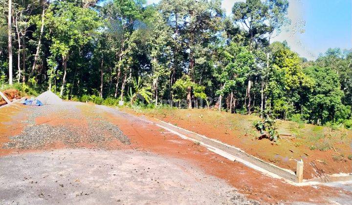 Tanah Murah 90jtan Dijual Di Gunungpati, Luas 120 Meter 2